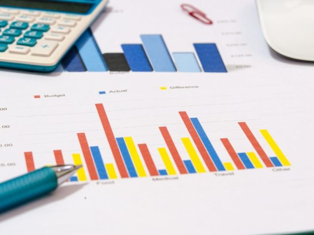 Why Every Entrepreneur Needs Business Growth Services