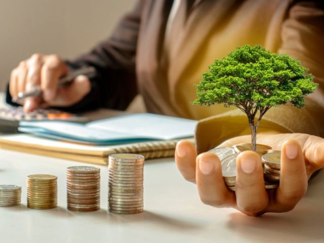 How Business Growth Services Can Propel Startup To Success