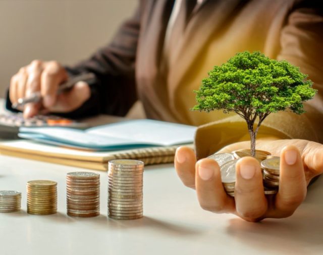 Business Growth Services