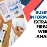 Business Information Extraction Firearms Website Analysis